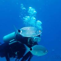 Olympos Diving Center