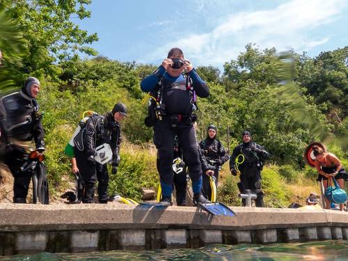 Go Dive Training