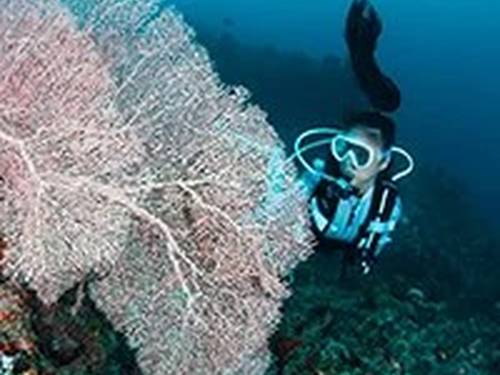 Euro-Divers Alila Kothaifaru