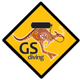 GS - Diving