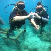 SimplyScuba Koh Tao