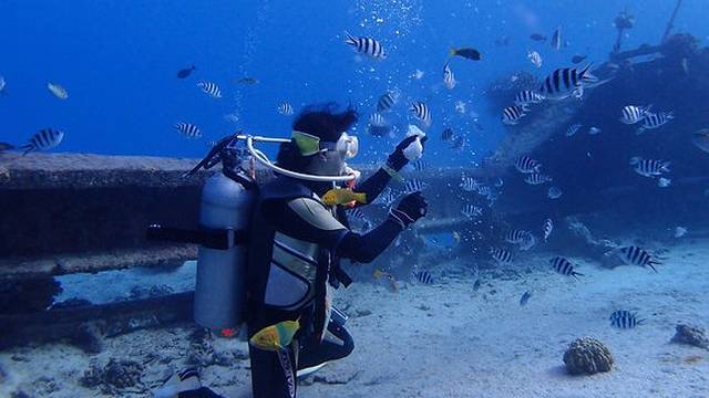 Dive Award Tsudanumaekimae