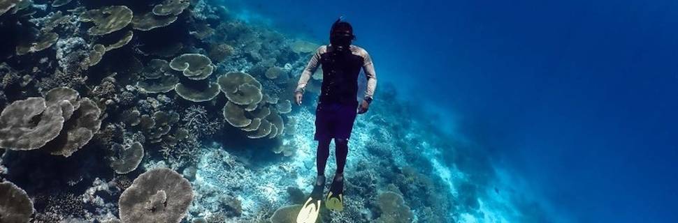 Travel Base Maldives