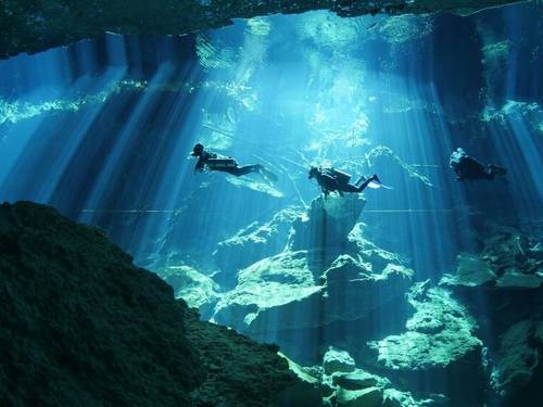 Wet Set Diving Adventures