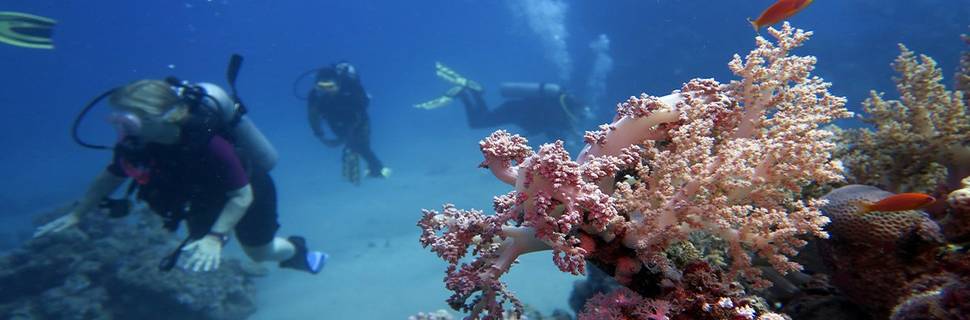 Cave Divers CWR Soma Bay