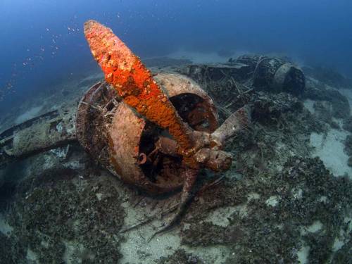 Diveshack