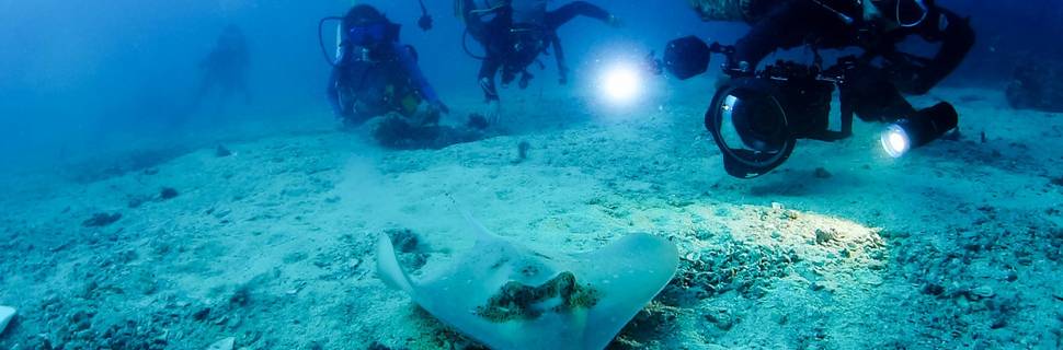 S10 DIVING CENTER