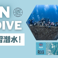 CTDiver