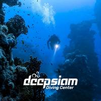 DeepSiam
