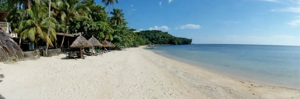 Easy Diving Sipalay