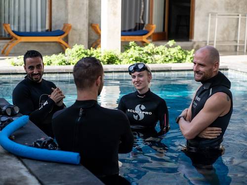Fluid Focus Freediving