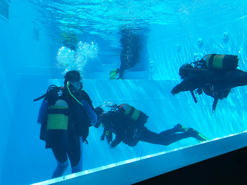 Santa Cruz Dive House