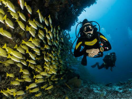 Dive Missoula