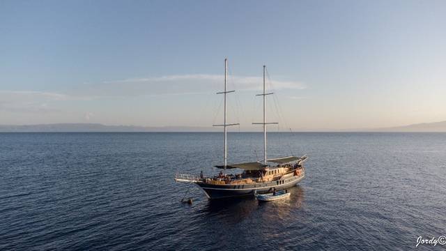 Dolphin Excursions SARL