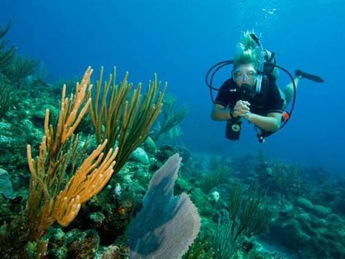 Divers Mast
