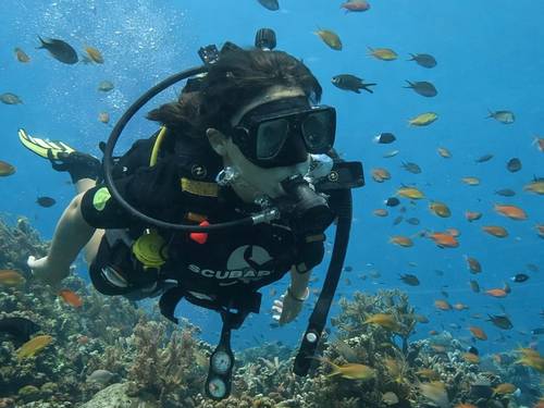 Bali Dive Cove