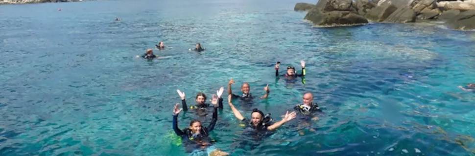 Discovery Divers