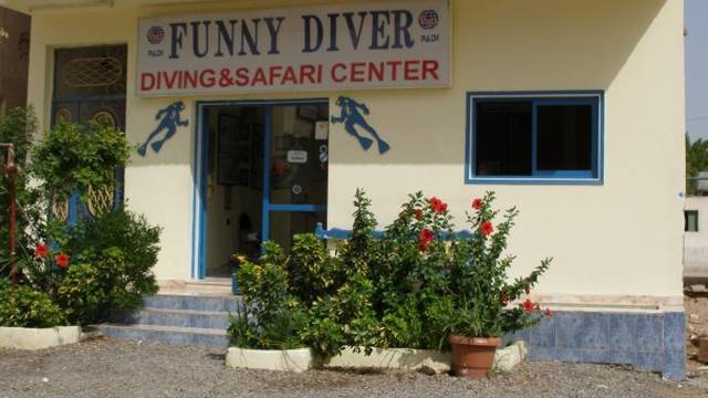 Funny divers