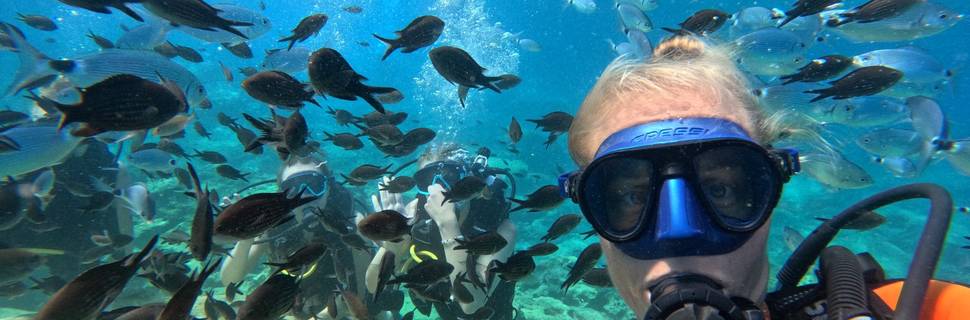 IPA DIVERS CYPRUS - Polskie Centrum Nurkowe na Cyprze
