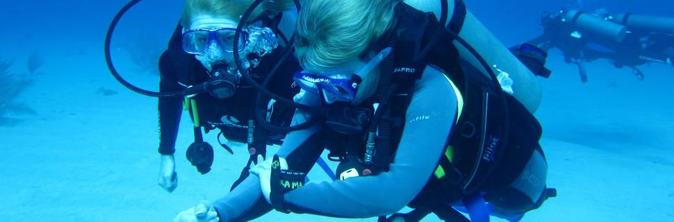 Bananarama Resort & Dive Center
