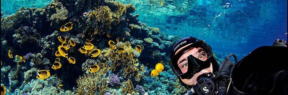 Sinai Dive Club Maldives