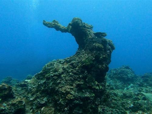 Blue Safari Diving Center