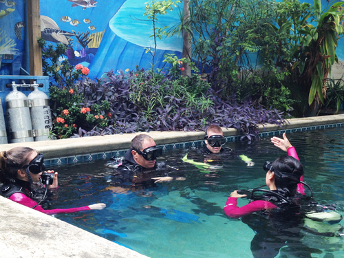 Captains Corner Dive Center