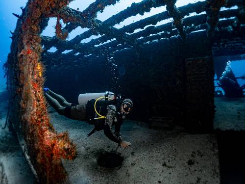 Dive With Ruben Scuba Diving Puerto Morelos