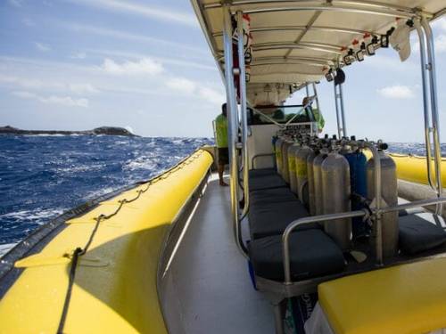 Dive Maui