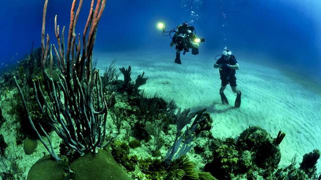 Dive Club Kassandra