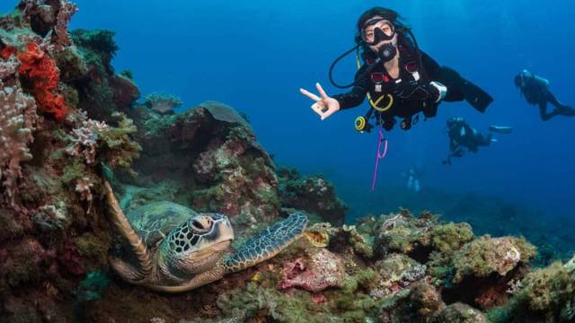 GoDiving Gili T - Open Water, Try Scuba & Private Snorkeling