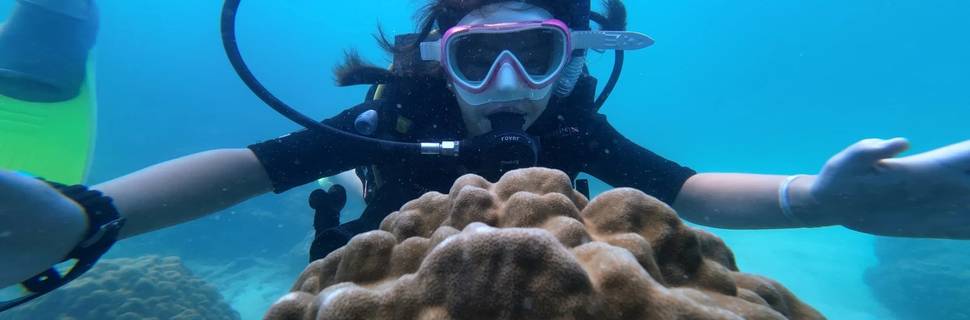 Batu Batu Dive