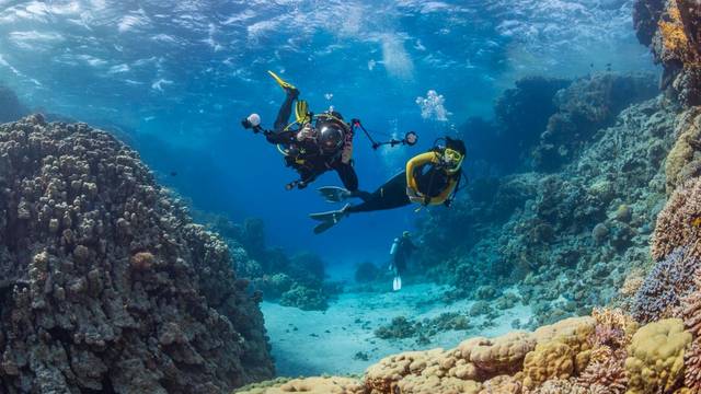 Dive In Sharm El Sheikh - Centro Diving e Crociere subacquee