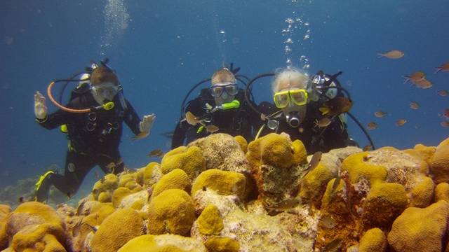 East Coast Diving Center