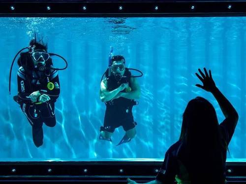 Divers Down Dubai