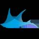 Blue Bay Divers