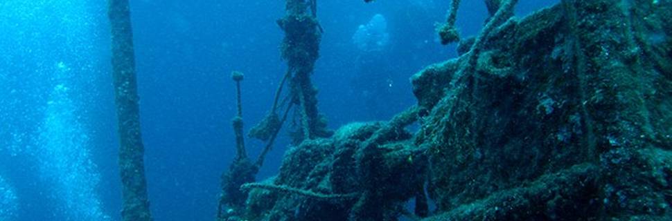 Diving Cres