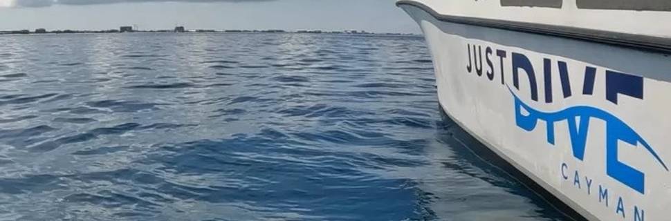 Just Dive