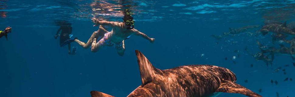 Sun Diving Maldives