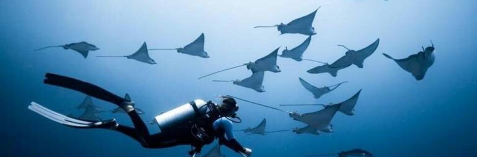 Submaldives