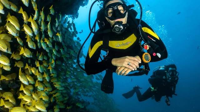 Go Diving Koh Tao - Scuba & Freediving Centre