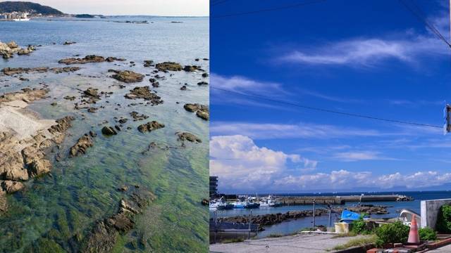 Hayama Diving Service