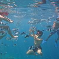 Diving Paradise Zanzibar