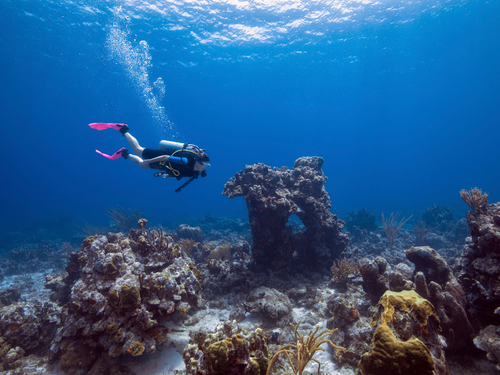 Hiriketiya Diving Center