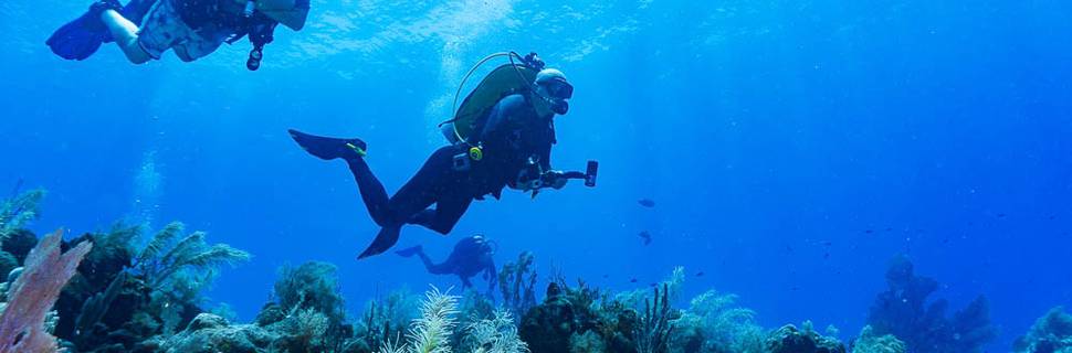 Divers West