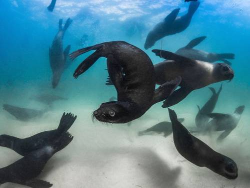 ProDive Scuba Diving Centre Plettenberg Bay