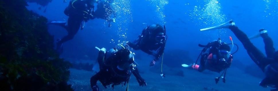 Saito Diving Service