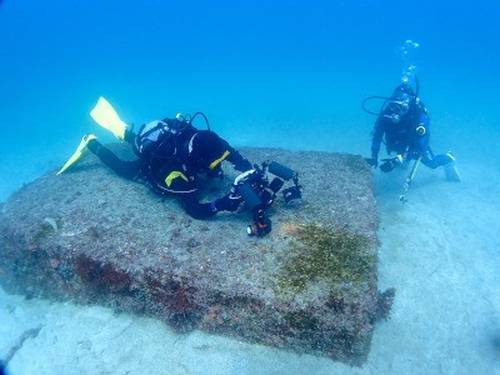 DIVING PRO SHOP TAKE SEA