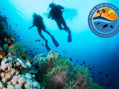 Scuba Hub Diving Club