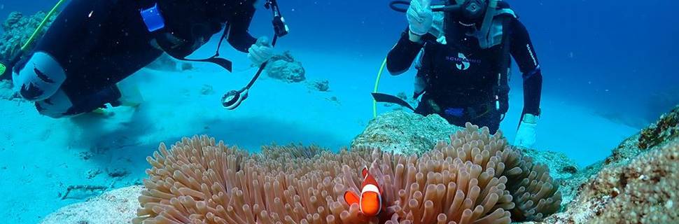 Diving Supplyer Smile